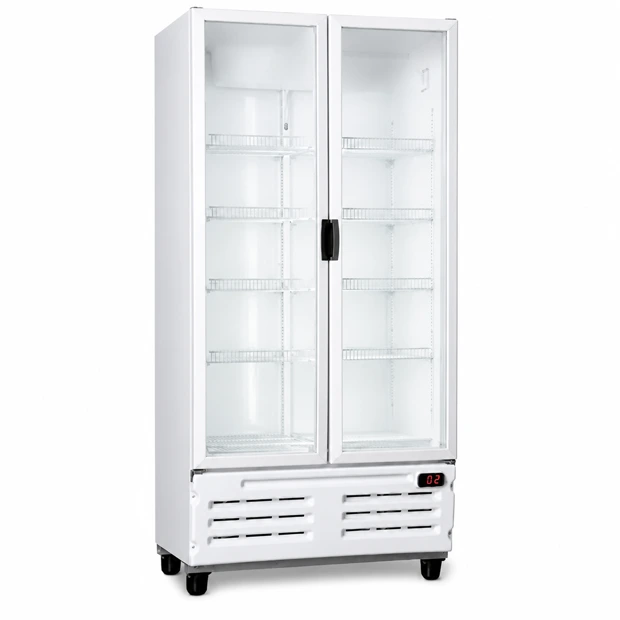 Upright display cooler 2 doors 980 L